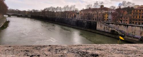 Fiume Tevere - der Tiber